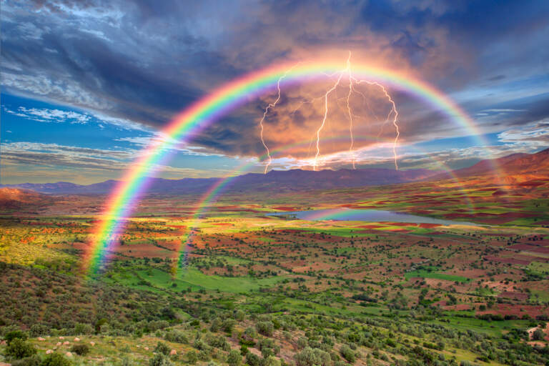 Living in Harmony with God’s Creative Order: Part 1