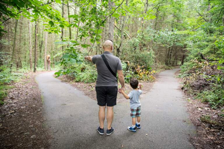 Navigating the Passages of Life: Part 1