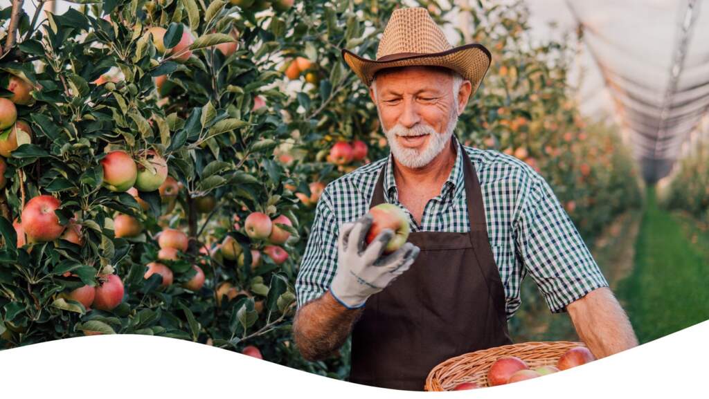 Evolve with the Fall: Tips for a Happier & Healthier Fall Season