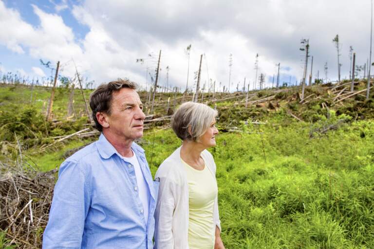 Seeking the Peace that Passes All Understanding: Part 1