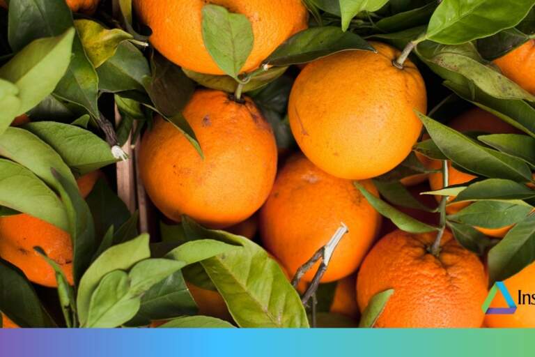 The History & Benefits of Vitamin C