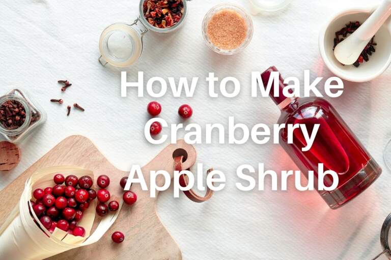 Make your Own Festive Cranberry Apple Shrub
