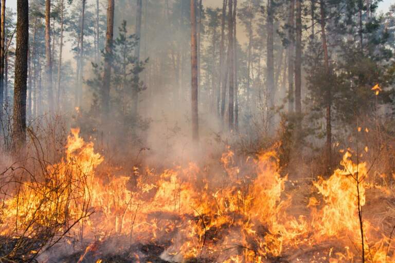 Air Quality Health Alert: Take Action 