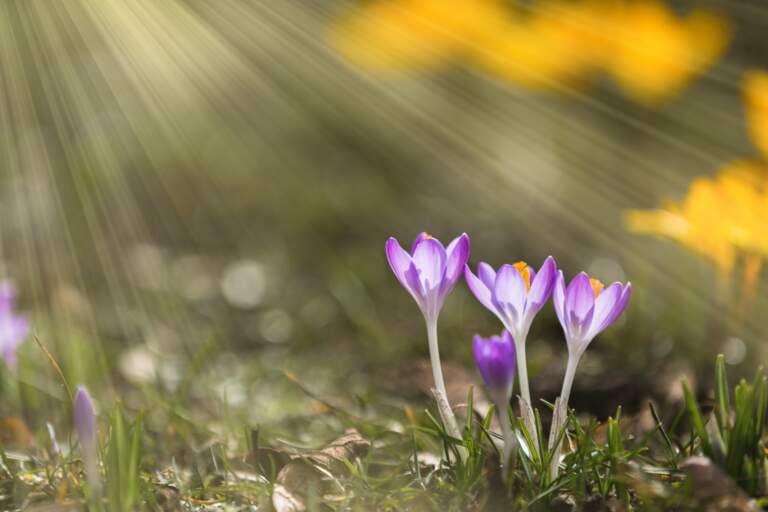 The Current of God’s Love: Part 1 (Luke 24:13-27, Romans 8:38-39, Psalm 34:18)