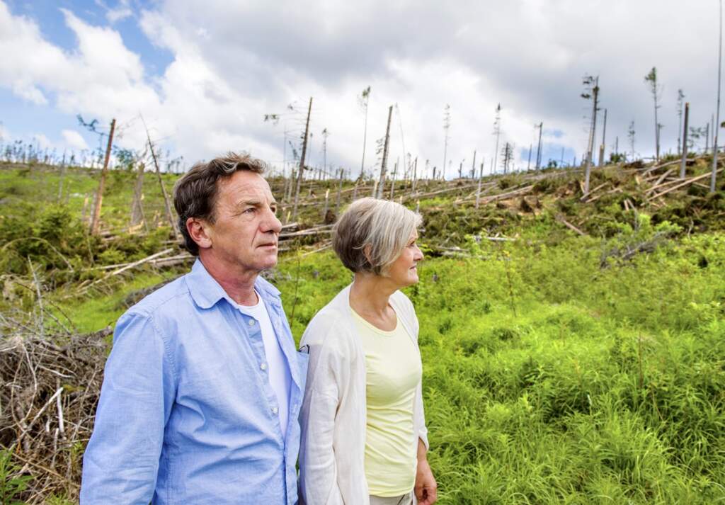 Seeking the Peace that Passes All Understanding: Part 1